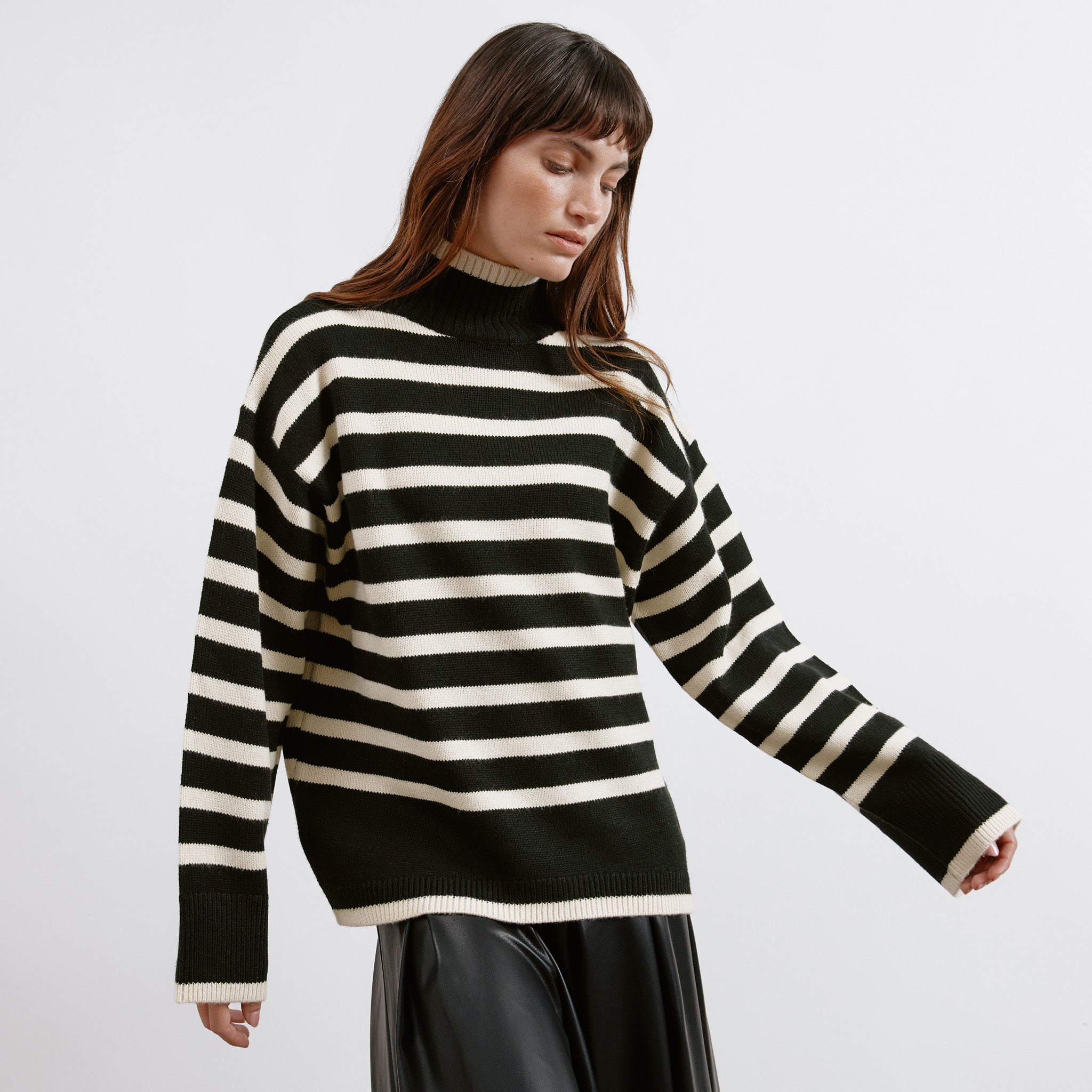 Black Stripe Turtle Neck