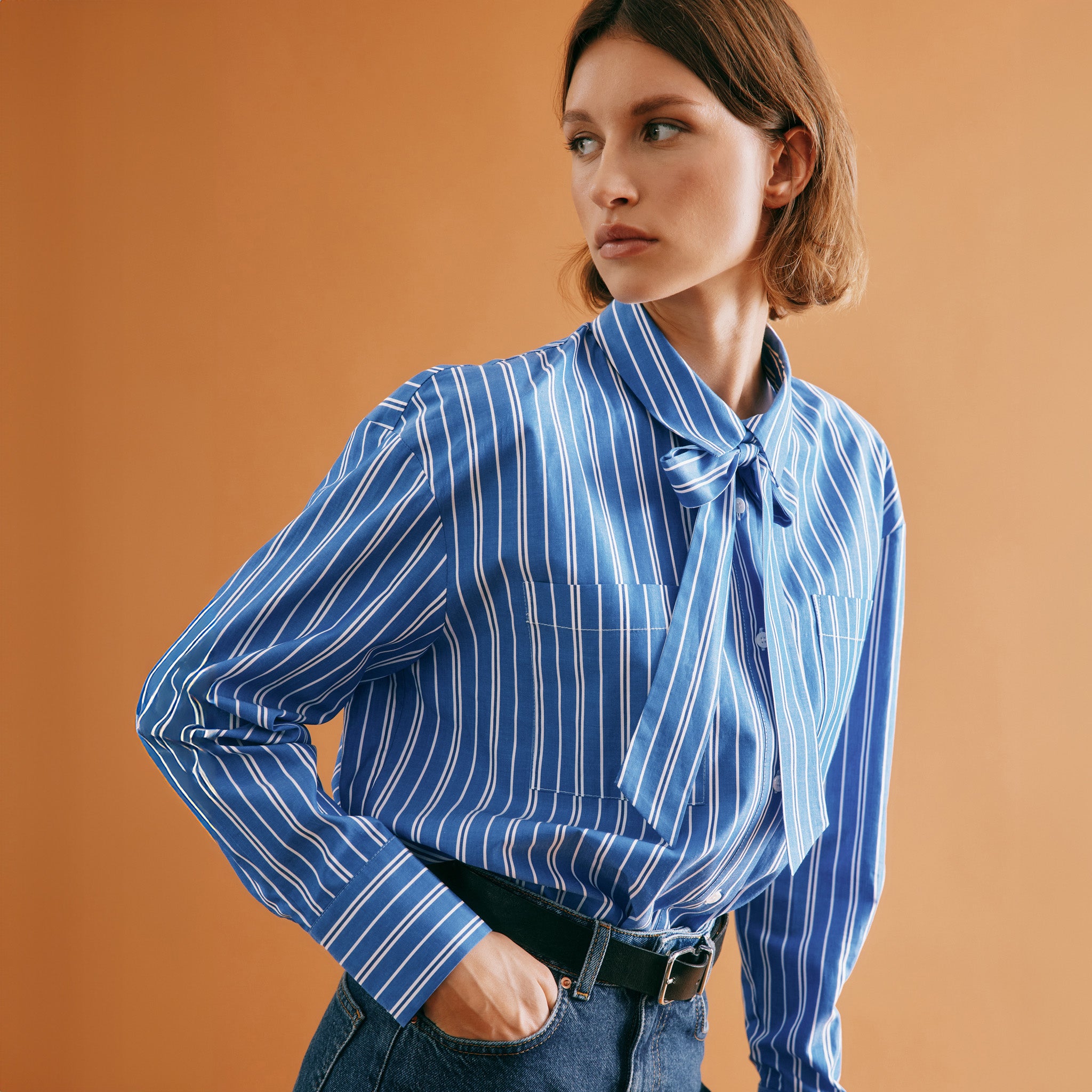 Blue Stripe Shirt